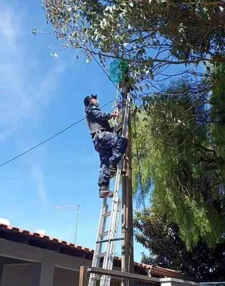 Guarda Ambiental salva gato em situação de risco; Assista