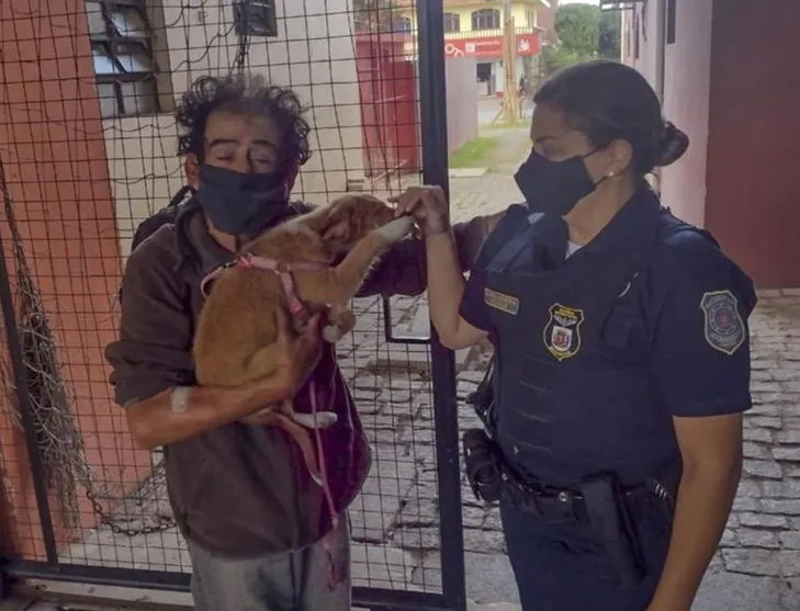 Guardas cuidam de cão até o dono receber alta hospitalar
