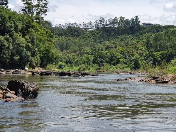 Jovem desaparece no Rio Tibagi após socorrer criança