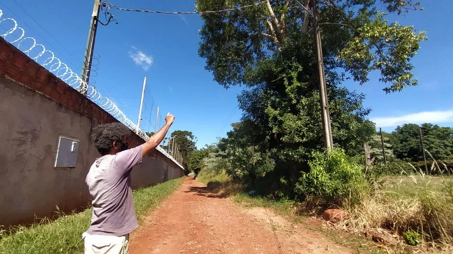 Morador pede poda de árvore que provocou queda de energia