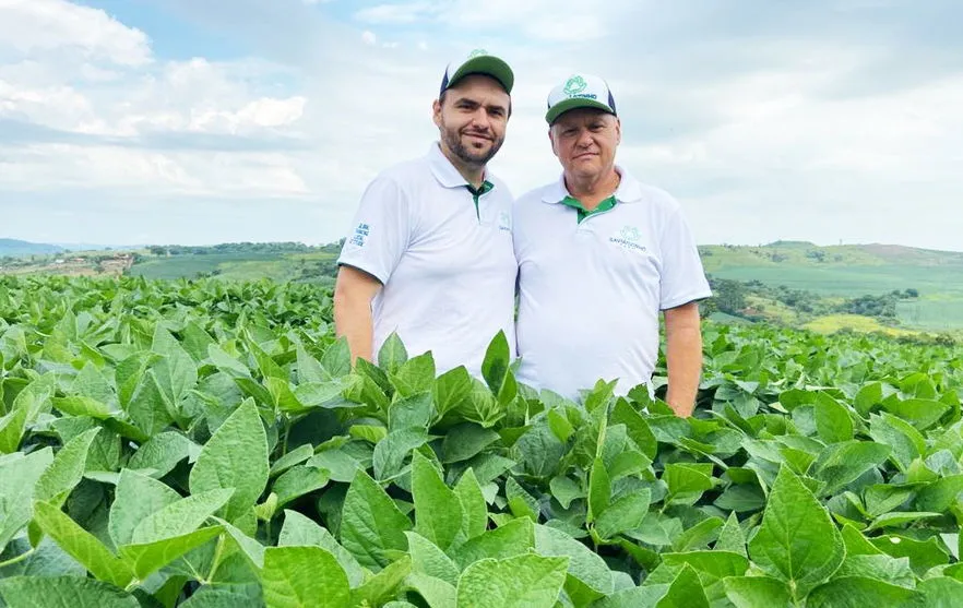 Propriedade rural do Norte do Paraná inova na forma de produção