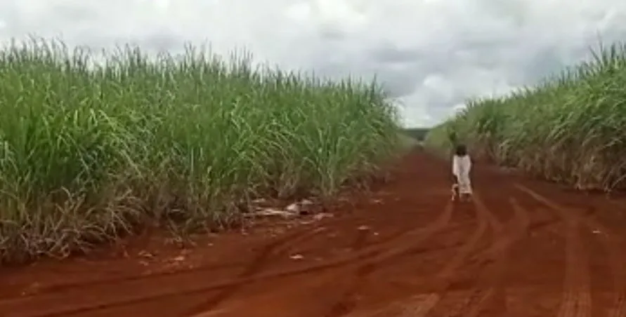 Vídeo de "menina fantasma" chama a atenção nas redes sociais