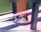 Fiuk e Rodolffo vencem prova do líder, que durou mais de 8 horas