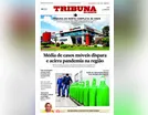 GRUPO TRIBUNA EM FESTA