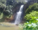 FAXINAL