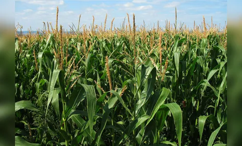 5 tendências para o agronegócio no pós-pandemia