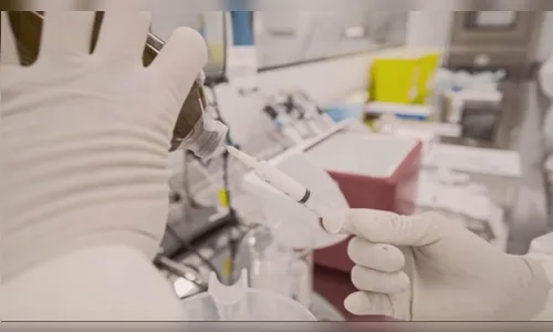 Anticorpos de cavalos podem ajudar em novo tratamento contra Covid