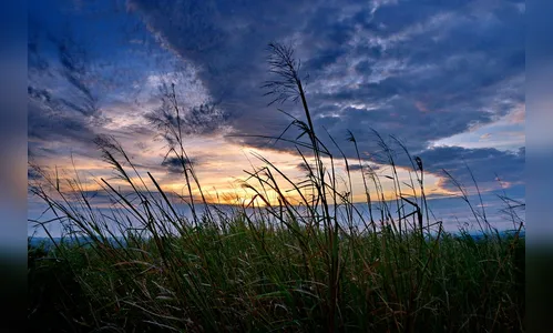 Apucarana amanhece com sol entre nuvens nesta quarta-feira