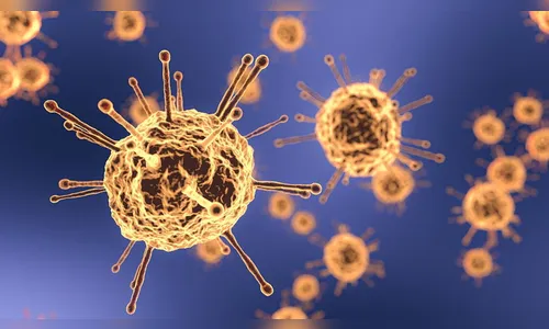 Apucarana chega a 10.038 casos de Covid-19 e a 265 mortes