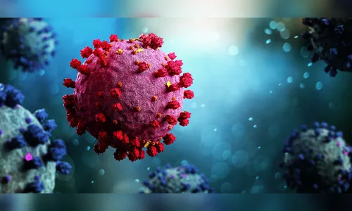 Apucarana confirma mais 1 óbito e 53 novos casos de Covid-19