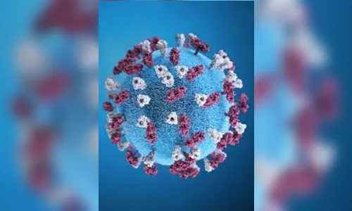 Apucarana confirma mais 1 óbito e 55 novos casos de Covid-19