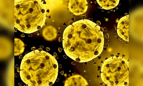 Apucarana confirma mais 4 óbitos e 40 novos casos de Covid