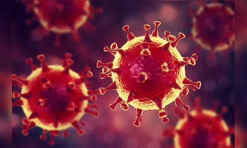 Apucarana confirma mais 54 casos de coronavírus