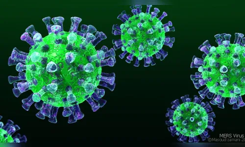 Apucarana confirma mais 7 óbitos e 54 novos casos de Covid