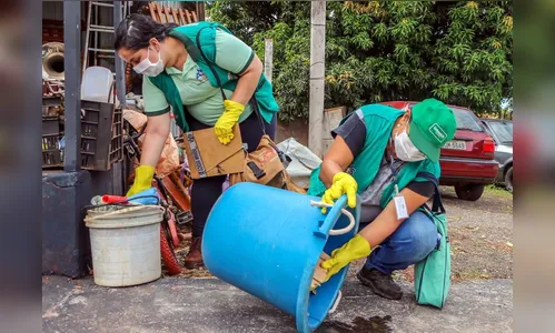 Apucarana é a cidade do PR com mais casos de chikungunya
