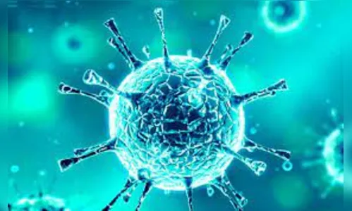 Apucarana registra 56 novos casos de Covid-19 neste sábado