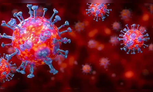 Apucarana registra mais dois óbitos e 66 novos casos de Covid-19