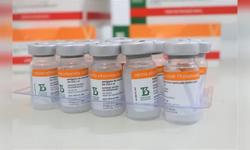 Arapongas recebe mais 1.660 doses de vacina contra Covid-19