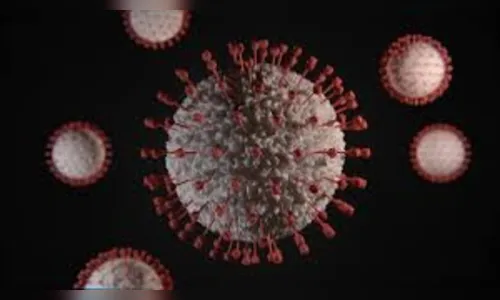 Arapongas registra 33 novos casos de covid-19 e 2 óbitos