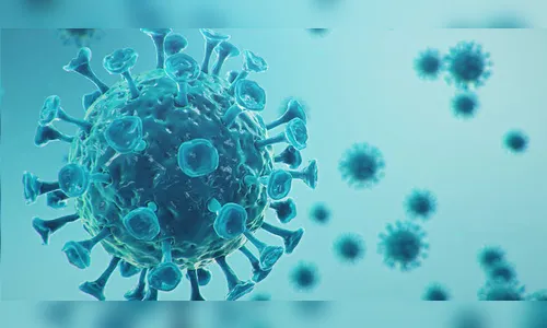 Arapongas registra 5 óbitos e 35 novos casos de Covid-19