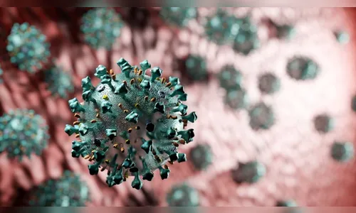 Arapongas registra 82 curados e 2 óbitos por Covid-19