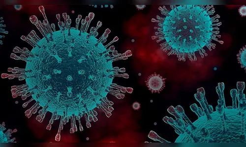 Arapongas registra 83 curados e 1 óbito por Covid-19