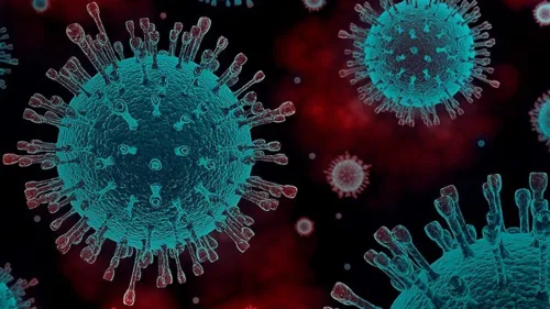 Arapongas registra 83 curados e 1 óbito por Covid-19