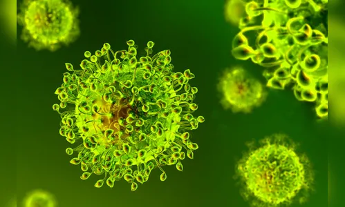 Arapongas registra mais 4 mortes e 76 novos casos de Covid