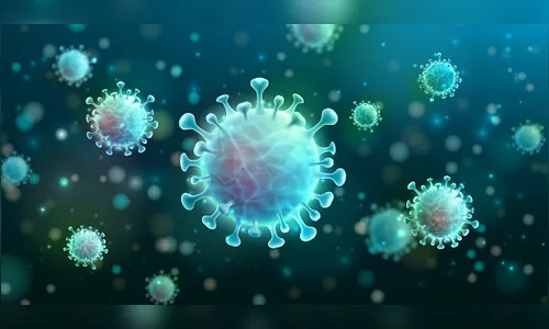 Arapongas registra mais 64 curados e 2 óbitos por Covid-19