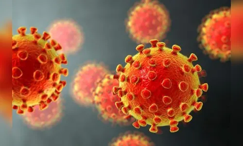 Arapongas registra mais 90 casos e um óbito no sábado