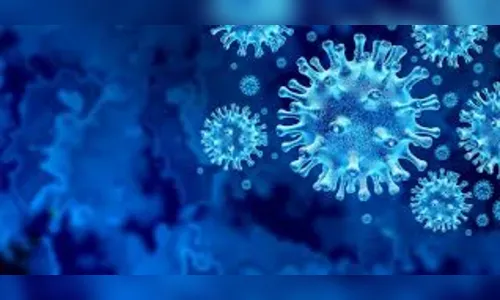 Arapongas tem 138 novos casos de covid e 2 óbitos