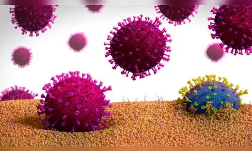 Arapongas tem aumento de 26,34% no número de casos da covid-19