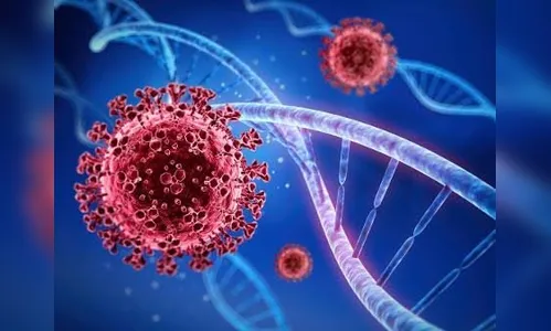 Arapongas tem mais 33 pessoas curadas da covid