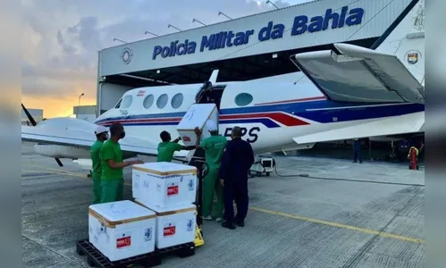Avião com doses da vacina contra a covid-19 bate em jumento na Bahia