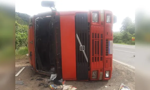 Caminhão carregado com madeira tomba na BR-376