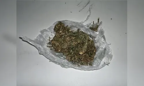 Cão de faro localiza porção de maconha durante abordagem