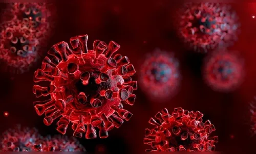 Casos confirmados de Covid-19 somam 937.364 no Paraná