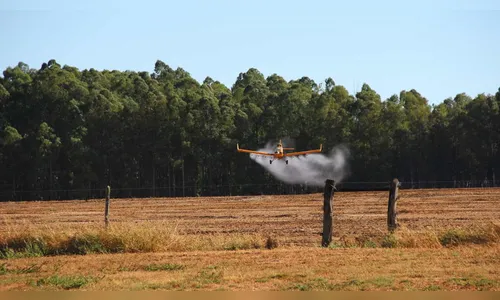 Covid-19: vereador sugere pulverizar cidade com avião