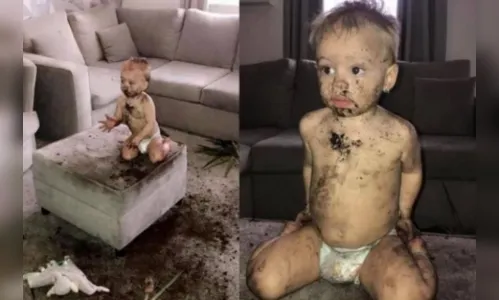 Criança de 3 anos já causou prejuízo de R$ 47 mil reais a família