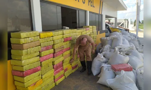 PRE apreende 4,7 toneladas de maconha em carga de sementes