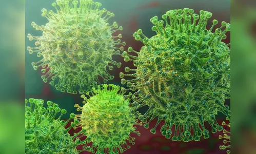 Estado registra 16 mil óbitos de covid-19