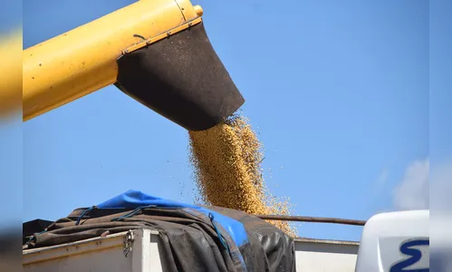 Soja deve movimentar até R$ 2,3 bi na região