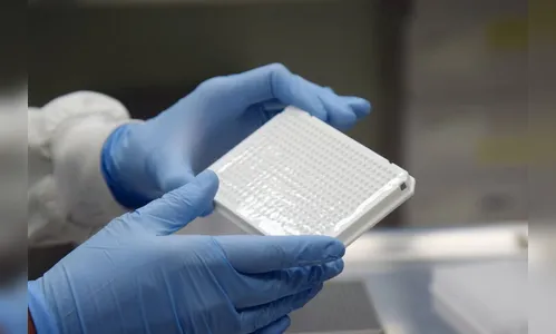 Fiocruz: variante brasileira da Covid-19 predomina no Paraná