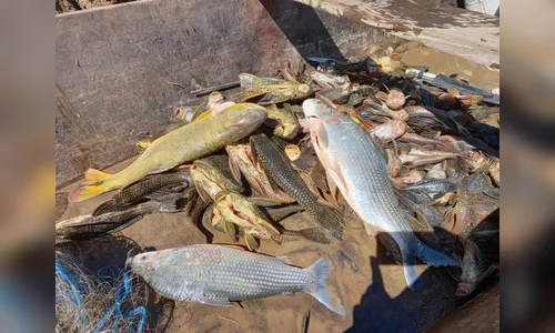 Três são presos suspeitos de pesca ilegal, no Rio Ivaí