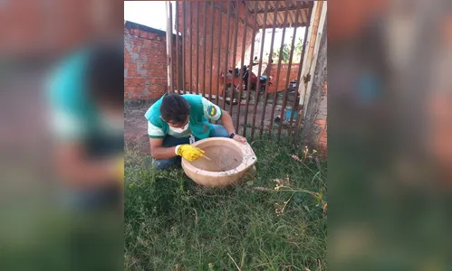 Força-tarefa combate mosquito Aedes Aegyti em Apucarana