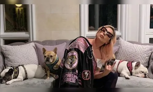 Gaga tem cães roubados e oferece 500 mil dólares por devolução