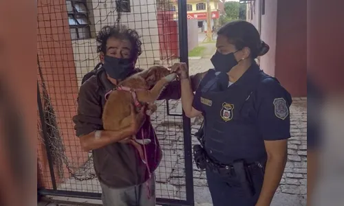 Guardas cuidam de cão até o dono receber alta hospitalar