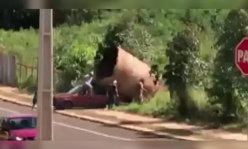 Homens são presos após tentarem roubar duto gigante; Veja