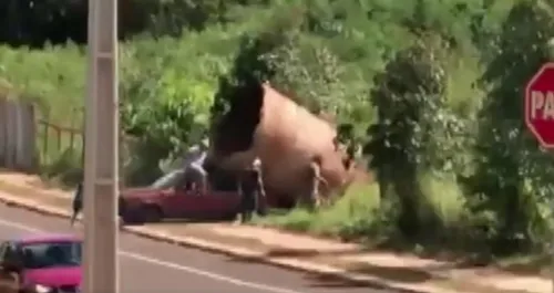 Homens são presos após tentarem roubar duto gigante; Veja