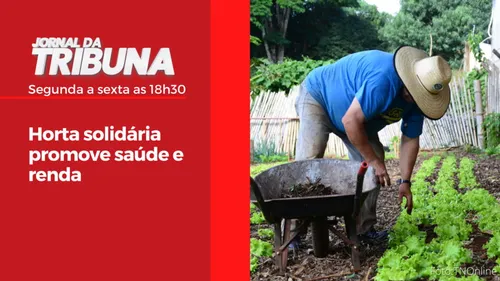 Horta solidária promove saúde e renda